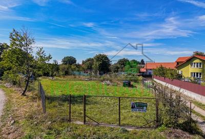 Teren Construcții intravilan de 1430 mp, în Cărpiniș - 5