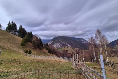 Teren cu energie speciala, Pestera/ 13570mp extravilan/Comision 0 % - 1