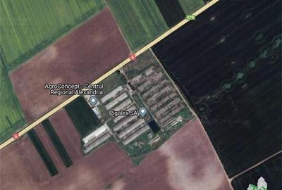 Teren intravilan constructii 4ha cu deschidere la drum european - 4