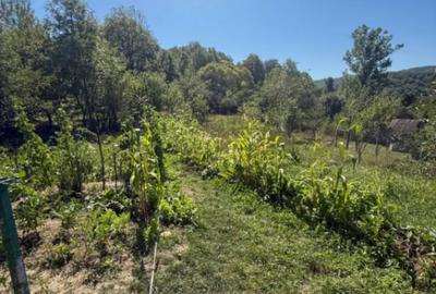 Casă cu 3 camere cu Teren 1027 Mp în Central - 2