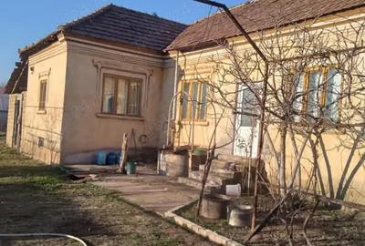 Vand casa in Ciupercenii Noi,judetul Dolj - 2