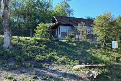 Casă cu Teren 5282 Mp în Central - 5