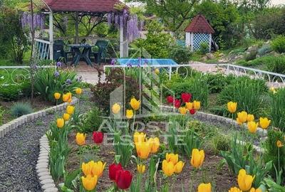 Casa spatioasa, teren generos, Giarmata - 19