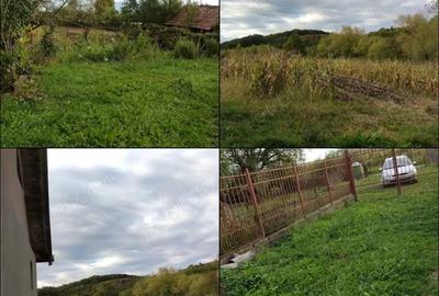 Casă cu 4 camere în Hațeg - 3