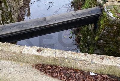 Casă cu 3 camere cu Teren 560 Mp în Cărpinet - 13