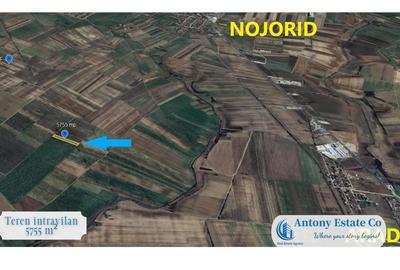 Teren de 5755 mp, în Nojorid