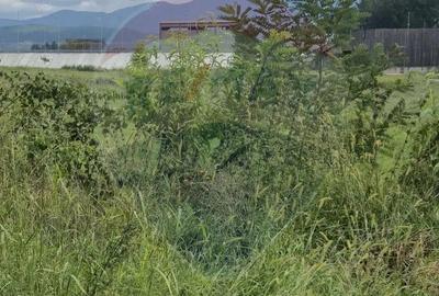 Teren 2,411mp Sighetu Marmatiei / Strada Teplitei - 1