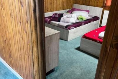 Cabana cu 4 dormitoare, foisor, ciubar, Statiunea Muntele Ba - 16