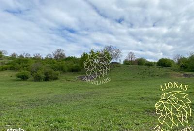 Spațiu comercial, în Nepos - 7