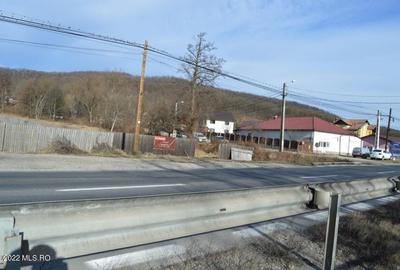 Valea Ursului - DN 7, Teren Stradal 2744 mp! - 6