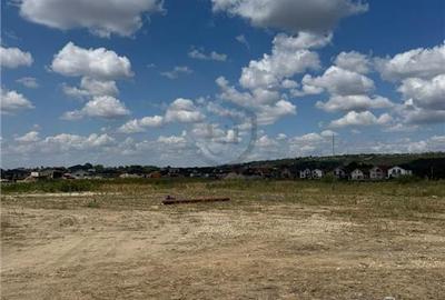 Teren intravilan 5295 mp, Oradea, Tineretului - 2