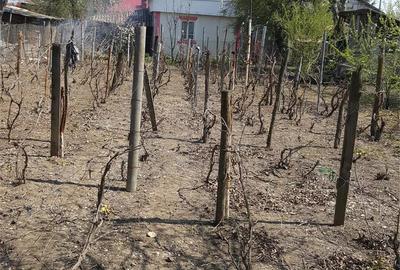 Casă cu 2 camere în Corbii Mari - 9