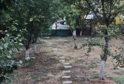 Casă individuală cu 2 camere cu Teren 1400 Mp în Ștefănești - 13