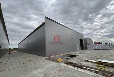 Depozit/hala/spatiu industrial Chiajna - Chitila - Rudeni - 3