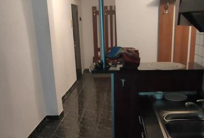 Apartament 2 camere Iulius mall de inchiriat - 11