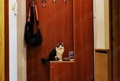 Titan, vanzari 2 camere - 9