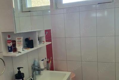 Vand casa Teremia Mare - 2