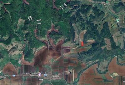 Teren de 7000 mp, în Hoghilag - 4