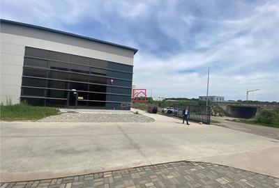 Depozit/hala/spatiu industrial Mogosoaia - Chitila, ILFOV - 9