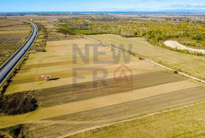 Terenuri industriale cu deschidere la A1, km 64 – Jugureni, Dambovita - 9