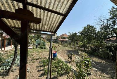 Oferta: casa mare Salonta Oferta: casa mare Salonta - 3