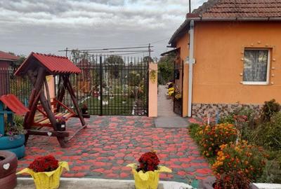 Casă cu 3 camere în Avram Iancu (Cermei) - 8