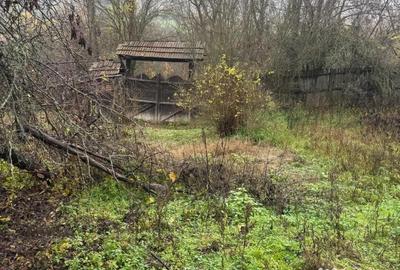 Casă cu 3 camere în Voloiac - 12