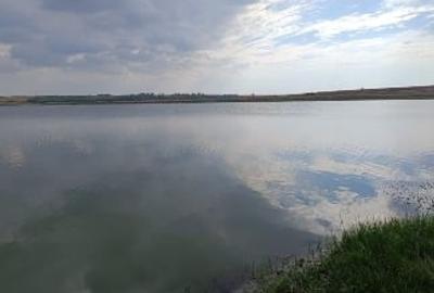 Teren extravilan de 10000 mp, în Gurbănești - 2