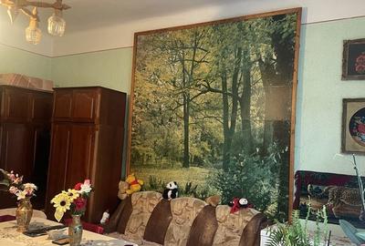 Casă cu 2 camere în Central