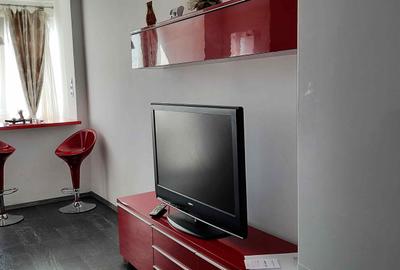 Garsoniera moderna Ultracentral - 6