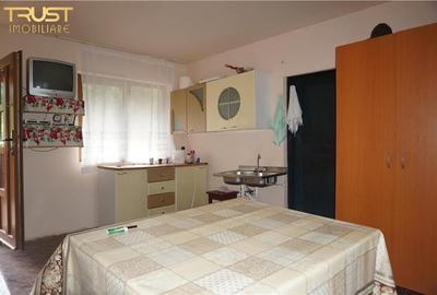 Casa, anexe, teren, gradina, livada - 6
