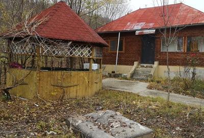 Casă cu 2 camere cu Teren 1000 Mp în Salcia - 6