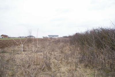 Teren de 2200 mp, în Varlaam - 3