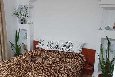 Apartament cu 3 camere decomandat în Tineretului - 4