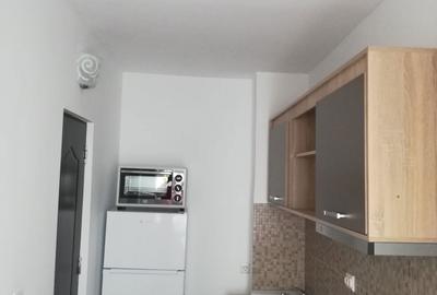 Garsonieră decomandată în Lacu - 6