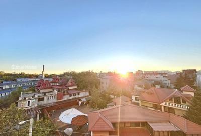 Apartament cu 2 camere decomandat, mobilat în Herăstrău - 14