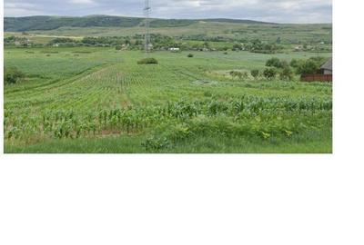 Teren Construcții intravilan de 20000 mp, în Valea Satului - 1