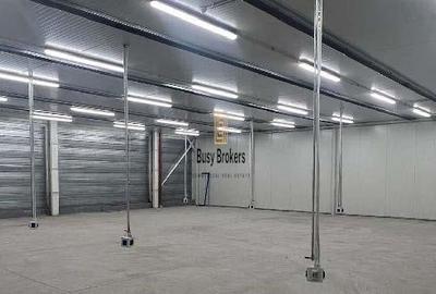 Spatiu Industrial - 5300 mp - Productie - Depozitare - Logistica - Distributie - 14