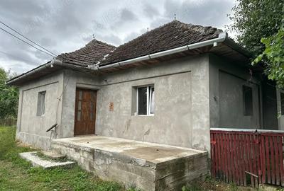 Vand casa Asuaju de Jos Maramure? - 3