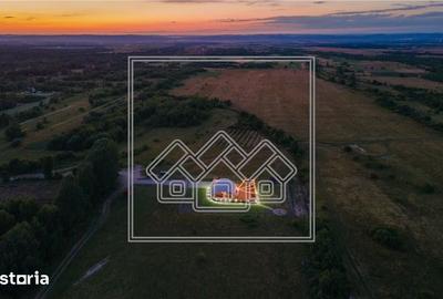Spațiu comercial, de 120 mp, în Lisa - 6