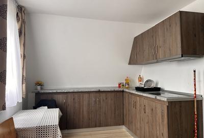 Garsoniera studio terezian drumul ocnei - 2