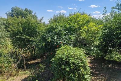 Casa in mediu rural cu teren - 2