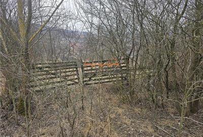 2 Terenuri de vanzare in Popesti Baciu 500/?+ 2.030/?. - 6