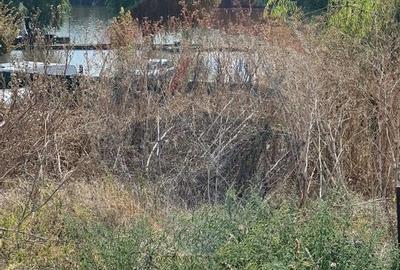 Teren de vanzare / 2,500 mp pe Malul Lacului Tancabesti /Ilfov - 12