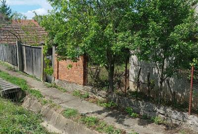 Vind casa cu gradina - 2