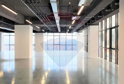 Birou, de 345 mp, în Gruia - 7