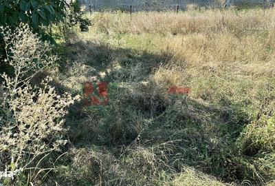 Spațiu comercial, în Central - 2