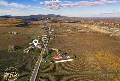 FILM! Casa boieresca autentica,domeniu de 4.000 mp intravilan,in podgoriile Odob - 5