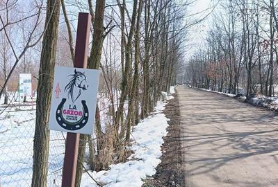 Spațiu comercial, în Joița - 19