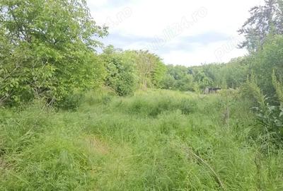 Casă cu 3 camere cu Teren 1066 Mp în Petrăchioaia - 4